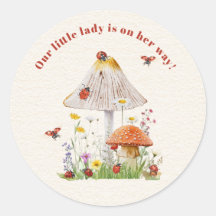 Little Dam Ladybug Mushroom Flowers Baby Shower