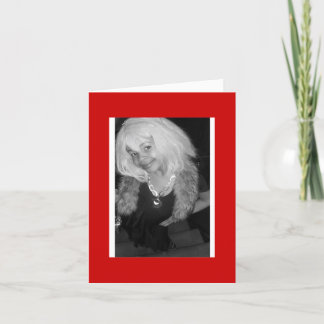 Little Diva Card Kort