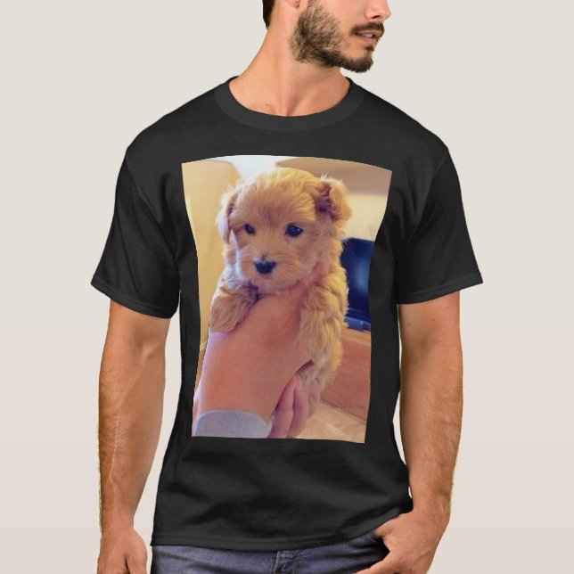 Little Doberman T Shirt (Framsida)