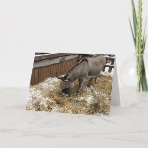 Little Donkey jul Helgkort