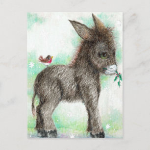 Little Donkey wonk and birdy kompis Robin Vykort
