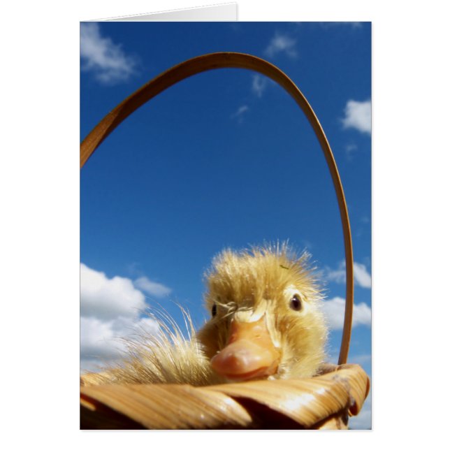 little duckling hälsningskort (Framsidan)