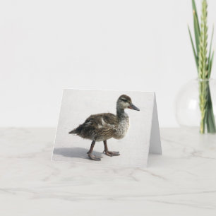 Little Duckling Kort