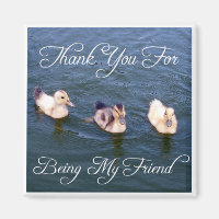 Little Ducklings Magnet
