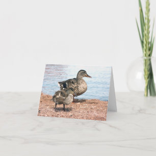 Little Ducklings vid Pond Kort
