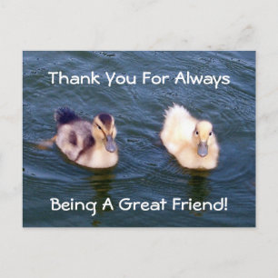 Little Ducklings-vykort Vykort