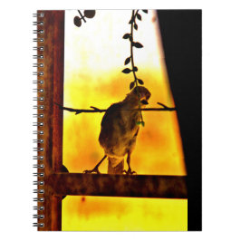 Little Finch Anteckningsbok