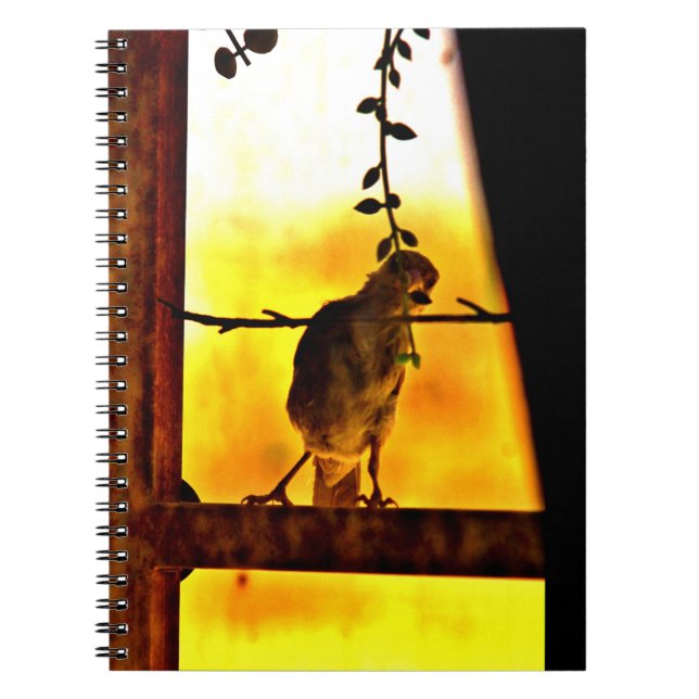 Little Finch Anteckningsbok (Framsidan)