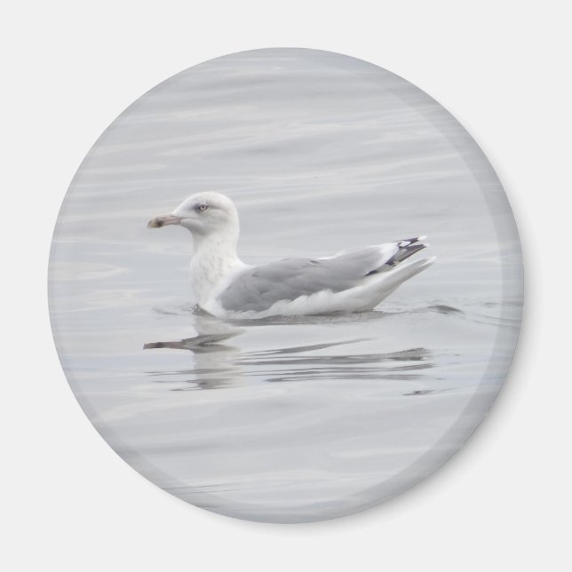 Little fiskmås magnet (Framsidan)