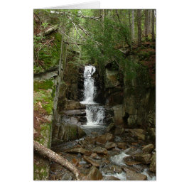 Little Flume Card Hälsningskort