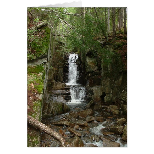 Little Flume Card Hälsningskort (Framsidan)