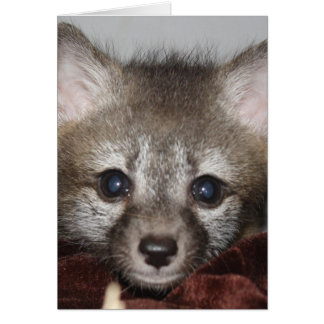 Little Fox Hälsningskort