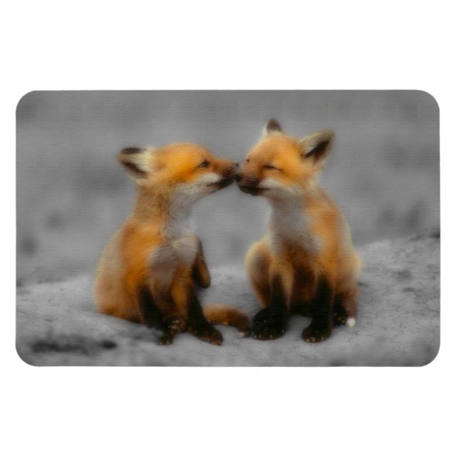 Little Fox Kärlek Magnet (Horisontell)