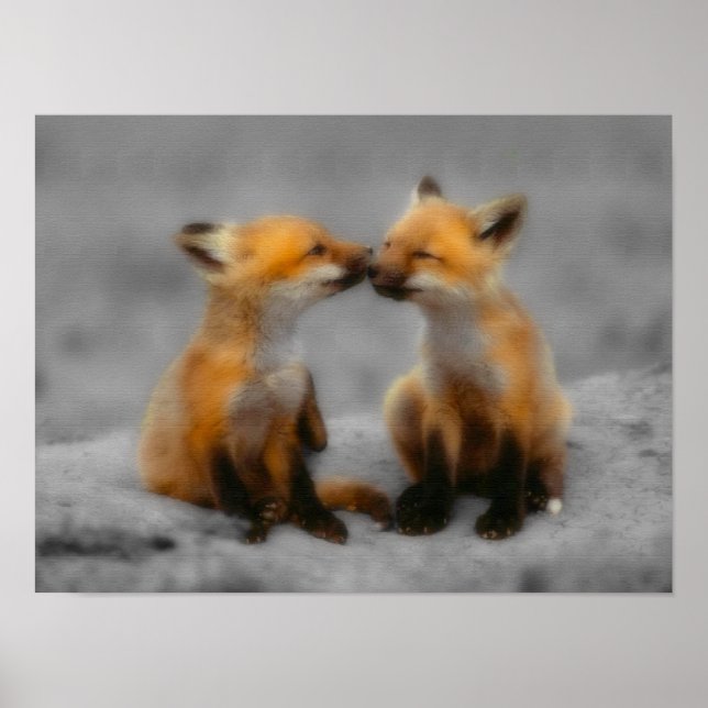 Little Fox Kärlek Poster (Framsidan)