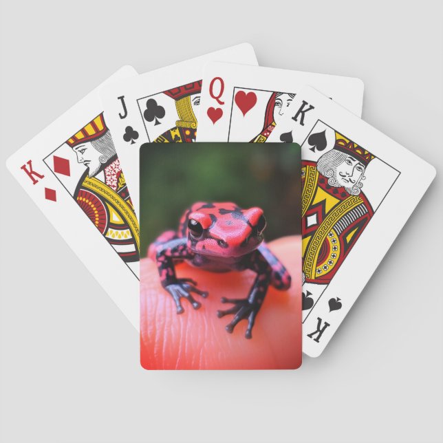 Little Frog Casinokort (Baksidan)