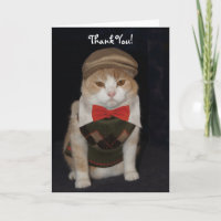 Little gentleman Cat in Argyle Sweater Tack