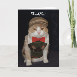 Little gentleman Cat in Argyle Sweater Tack Kort