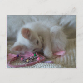 Little Girl Kattunge Postcard #2 Vykort