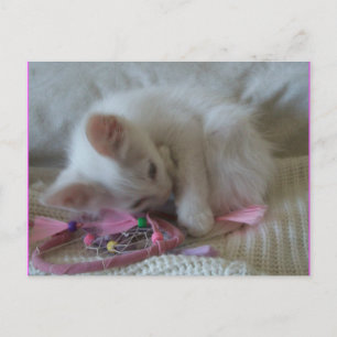 Little Girl Kattunge Postcard #2 Vykort
