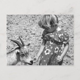 Little Girl Matar en goat Sunrosfrö 1971 Vykort