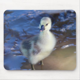 Little Gosling Mousepad Musmatta