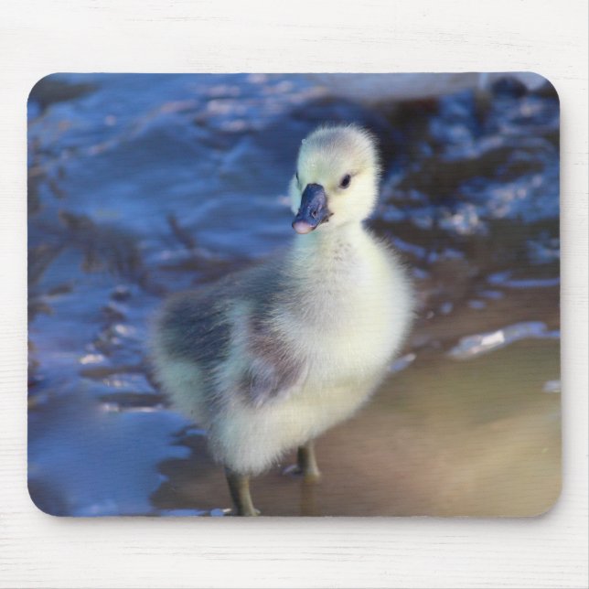 Little Gosling Mousepad Musmatta (Framsidan)