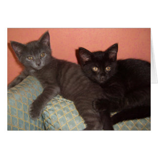 Little Grått och Little Black Hälsningskort