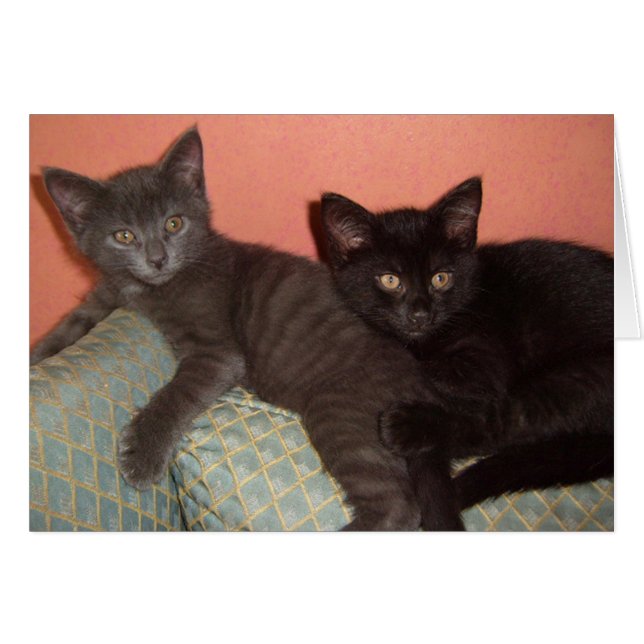 Little Grått och Little Black Hälsningskort (Framsidan Horizontal)
