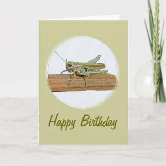 Little Grönt Grashopper Tecknad Birthday Kort