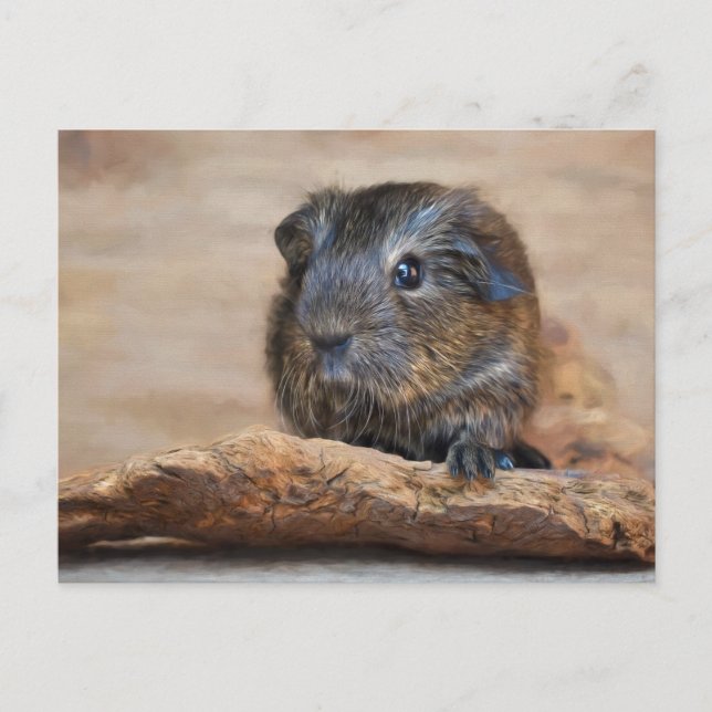 Little Guinea Gris Painting Vykort (Framsida)