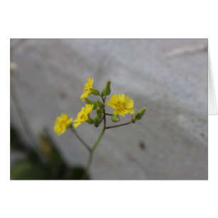 Little Gult Flower #3 Hälsningskort