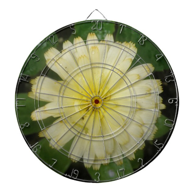 Little Gult Marigold Dart Board Piltavla (Framsidan)