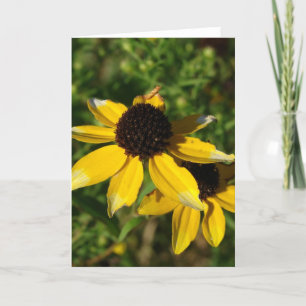 Little Gult Wildblommor Kort
