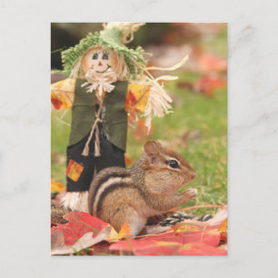Little Harvest Chipmunk Vykort