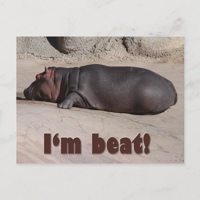 Little Hippo Tells Alla Vykort (Framsida)