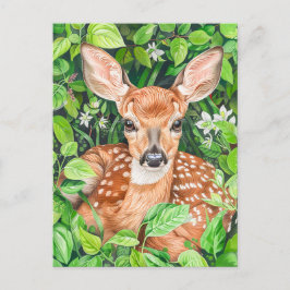 Little Hjort i Lush Meadow Vykort