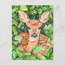 Little Hjort i Lush Meadow Vykort