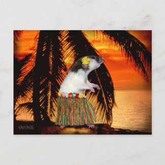 Little Hula Honung Postcard Vykort