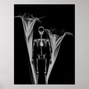 Little Human X-Ray Skeleton & Flowers - B&W Poster
