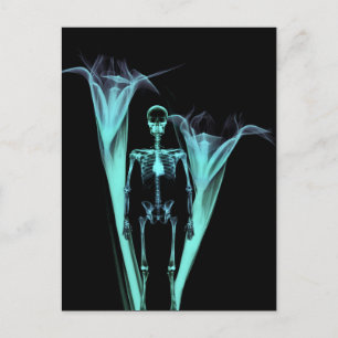 Little Human X-Ray Skeleton & Flowers - Teal Vykort
