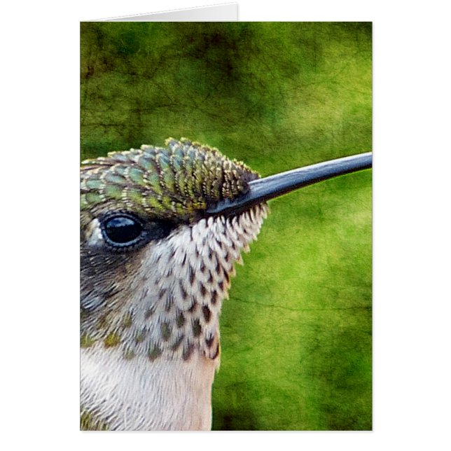 Little Hummer Hälsningskort (Framsidan)