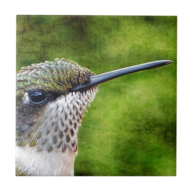 Little Hummer Kakelplatta (Framsidan)