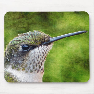 Little Hummer Musmatta