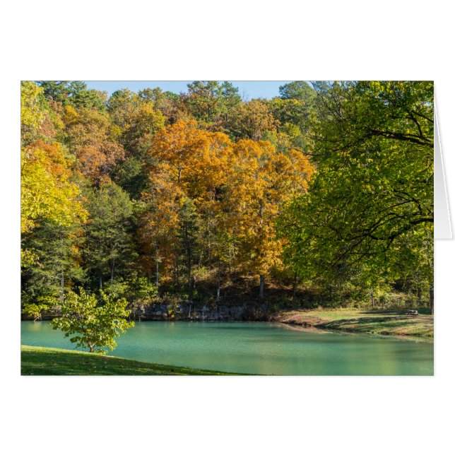 Little Indian Goldie OBS Kort (Framsidan Horizontal)