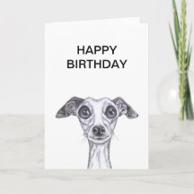 LITTLE ITALIAN GREYHOUND g869