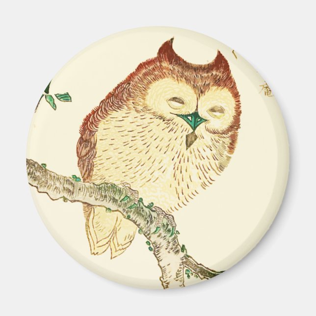 Little Japanska uggla Magnet (Framsidan)