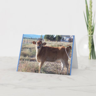 Little Jersey Cow Greeting Card Kort