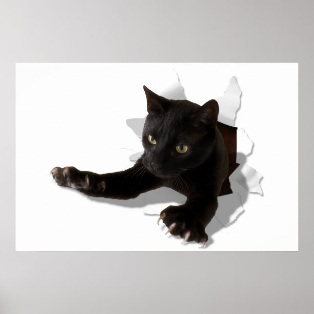 little jumping panther poster (Framsidan)