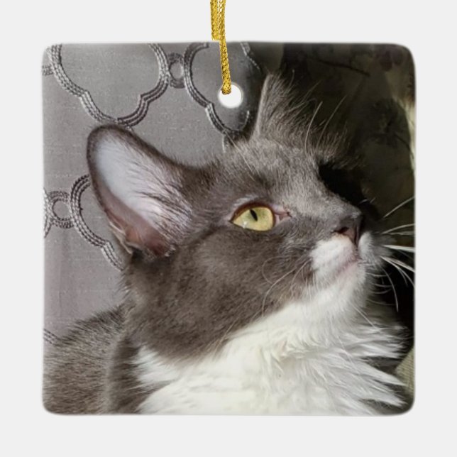 Little Kattunge Julgransprydnad Keramik (Framsida)