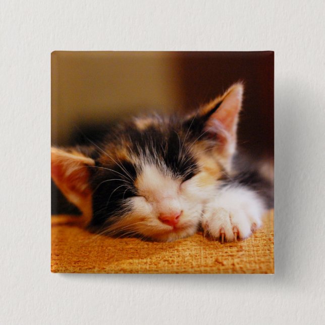 Little Kattunge Sleeping Knapp (Framsida)